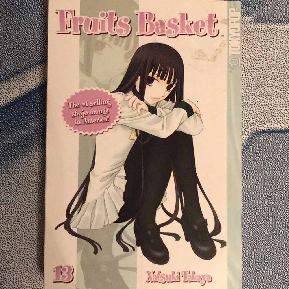 Fruits basket volume 13